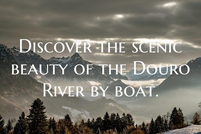 Discover the scenic beauty of the Douro River by b...