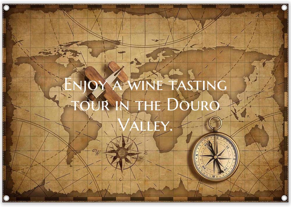 Enjoy a wine tasting tour in the Douro Valley.