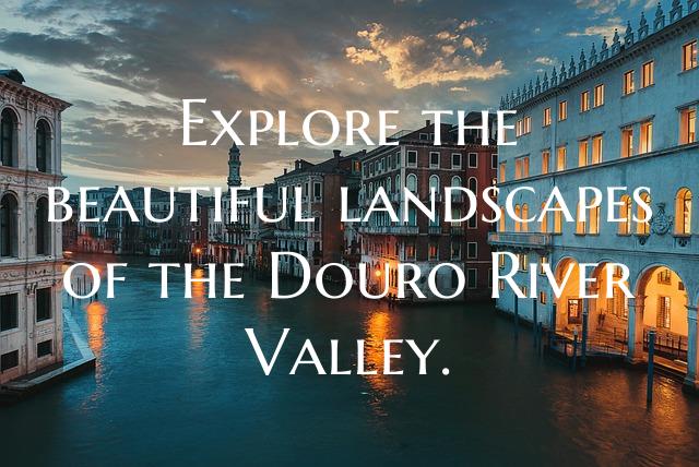 Explore the beautiful landscapes of the Douro Rive...
