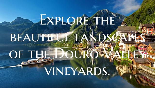 Explore the beautiful landscapes of the Douro Valley vineyards.