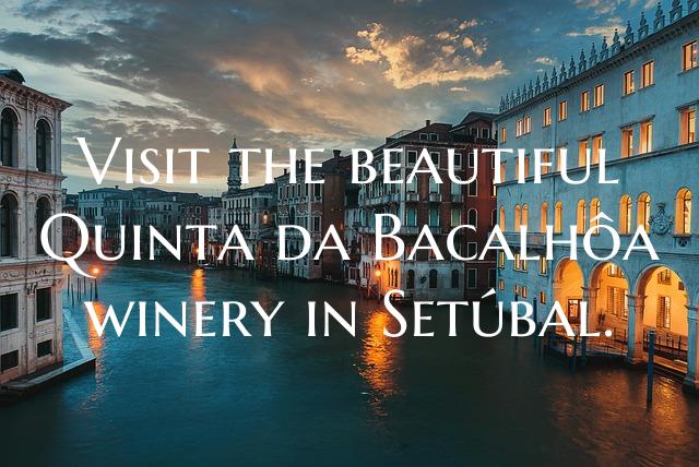 Visit the beautiful Quinta da Bacalhôa winery in ...